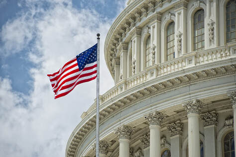 Picture of US Capitol with flag